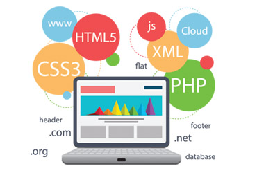 Website Development